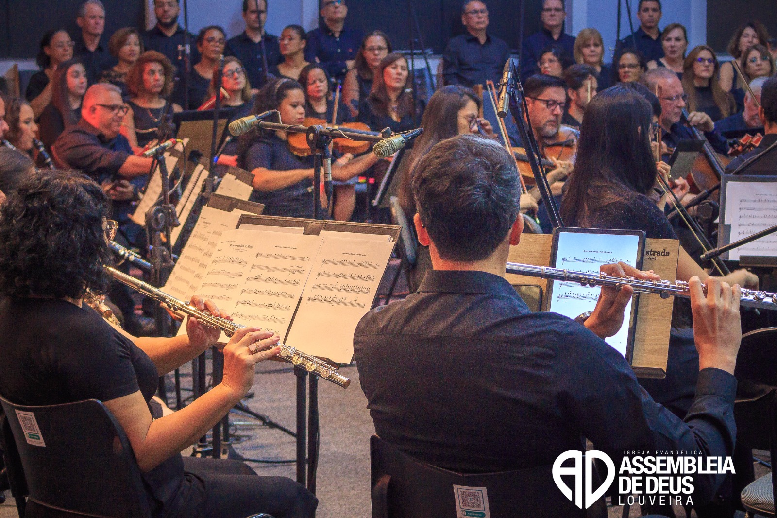 WhatsApp Image 2026-04-20 at 14.49.19 (18).jpeg